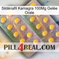 Sildénafil Kamagra 100Mg Gelée Orale new10